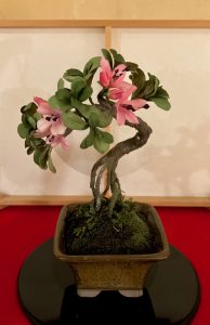 工芸盆栽『深山霧島』